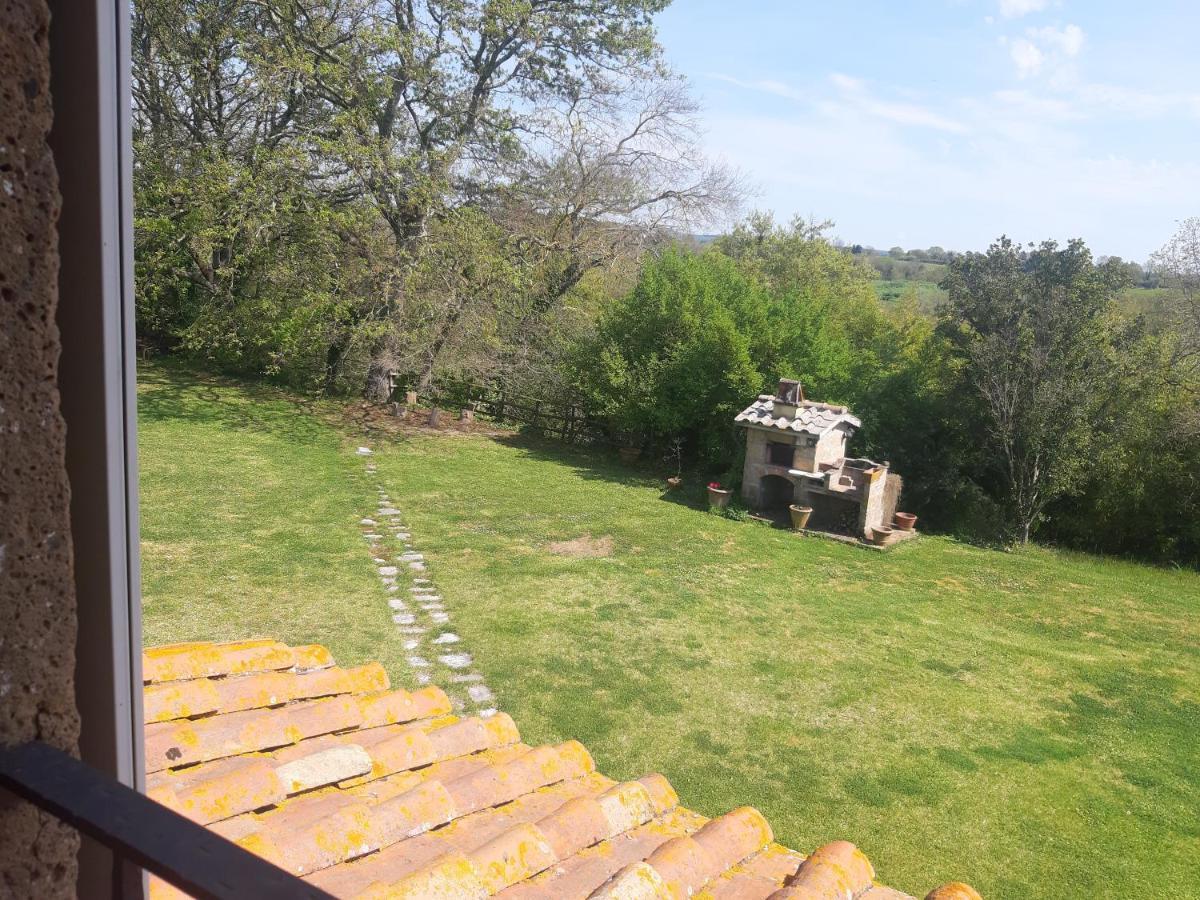 Poggio Dell'Olivo Villa ปีติญาโน ภายนอก รูปภาพ
