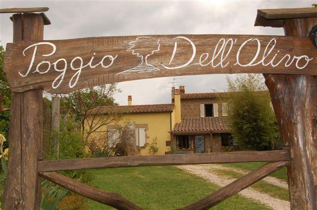 Poggio Dell'Olivo Villa ปีติญาโน ภายนอก รูปภาพ